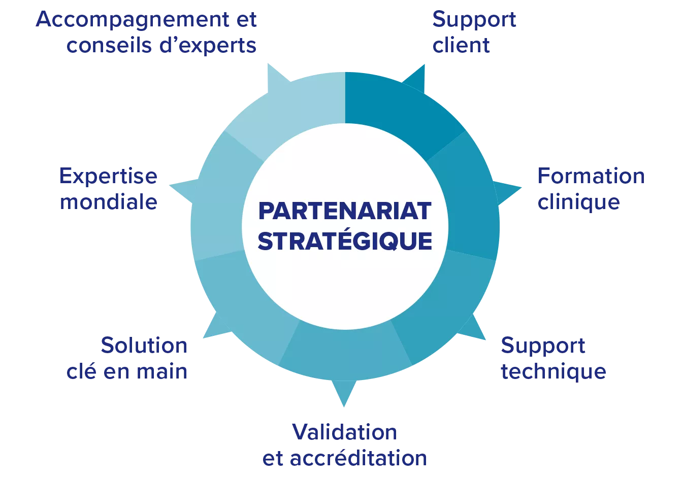 Graphique représentant un cercle avec des points de section alignés sur les termes clés