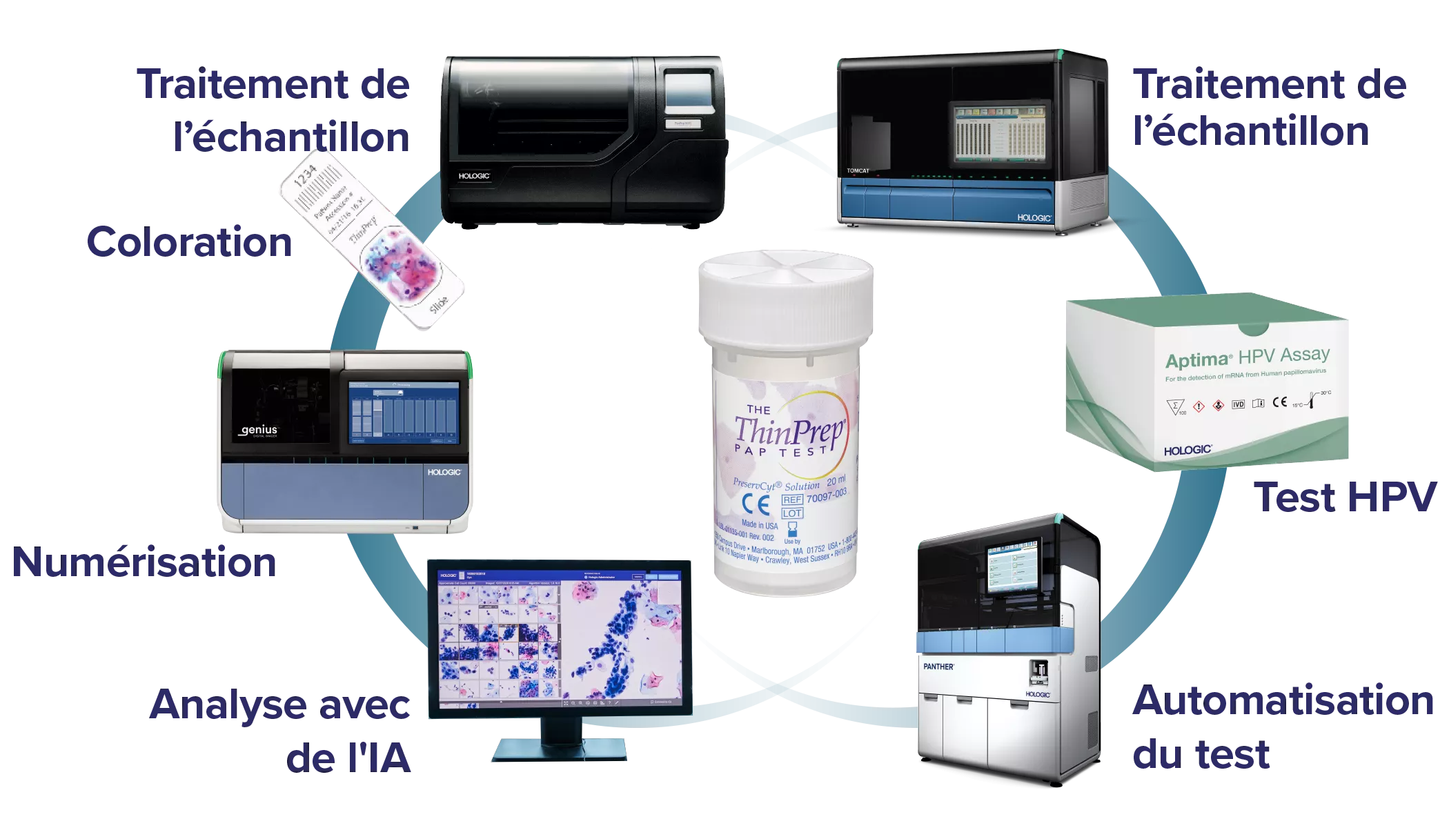 Graphique montrant les liens entre les produits Hologic