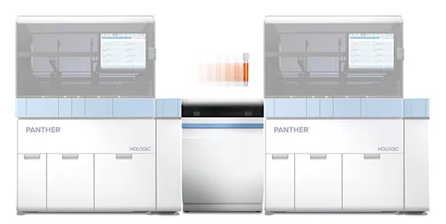 Panther Trax sur fond blanc