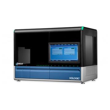 Tomcat sur fond blanc